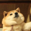 []