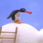 Pingu