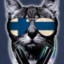 FinlandKitty