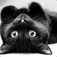 Katze