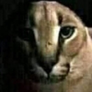 King Scooty Booty's avatar