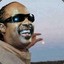 Stevie Wonder