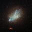 thegalaxy559