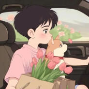 终究是镜花水月