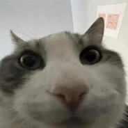 chân gà sốt sắng