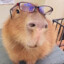 MS Capybara