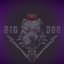 The Big Dog