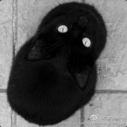 战士到底行不行