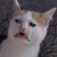 老六的悲伤故事