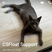 CSFLOAT