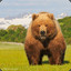 Big Bear Holt