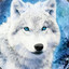 Frostwolf