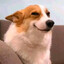 json