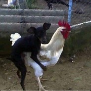 Azgın Şivava