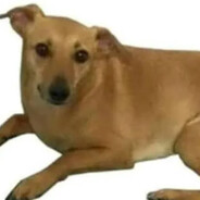 Caramelo