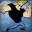 johnybravo