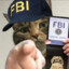 欧耶（FBI&#039;s cat）