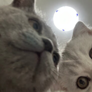 tingzzzzzzzzzzzzzzzzzzz