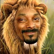 SnoopLion