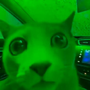 Avatar snapshot