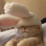 Polofka LFT - steam id 76561198796614087