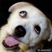 人菜瘾大帝王干拉