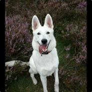 |NL|UnABoMBeR - steam id 76561197961340799