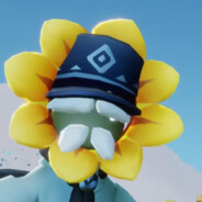 赏你一团猫猫拳