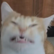 MISKUZI Steam avatar