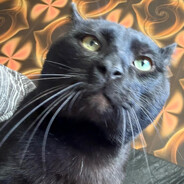 MyGunshotsWillMakeYouLevitate