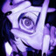 UZ's avatar