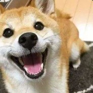 幸运女神向我张开双腿