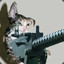 Battle Kitteh