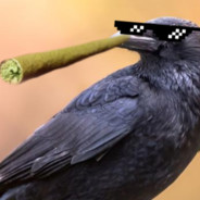 Crow - steam id 76561198271907324