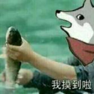 名字可以是数字