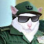 Fidel Catto