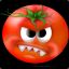 Tomate EINS