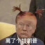 太尝龟啦