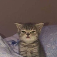 jvlek 𝟐𝟒𝟎𝑲𝒎/𝑯