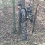 DrWoods