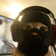 baggio - steam id 76561199848133718
