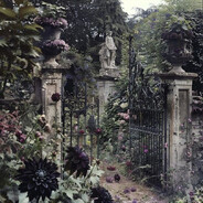 Gardens of decay avatar