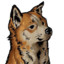 bevdog