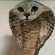 爪ℵ尸ℜskins.army