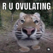 R U OVULATING?