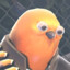 Pootis_Birb(2)