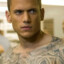 `Scofield