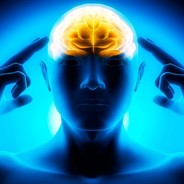 Brain avatar