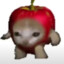 apple cat