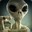 snokin